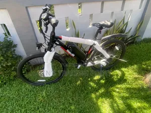 Gocio Adult Mountain E-Bike