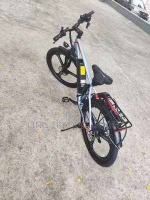 Adult Electric Mountain Bike