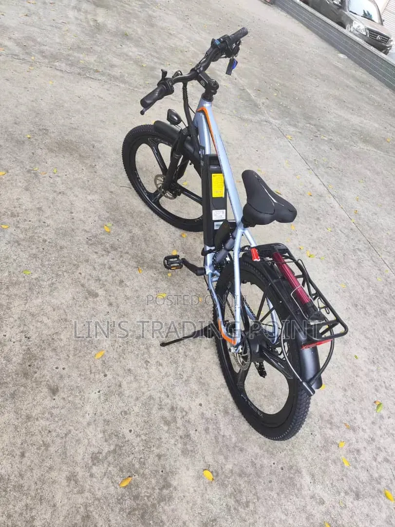 Adult Electric Mountain Bike