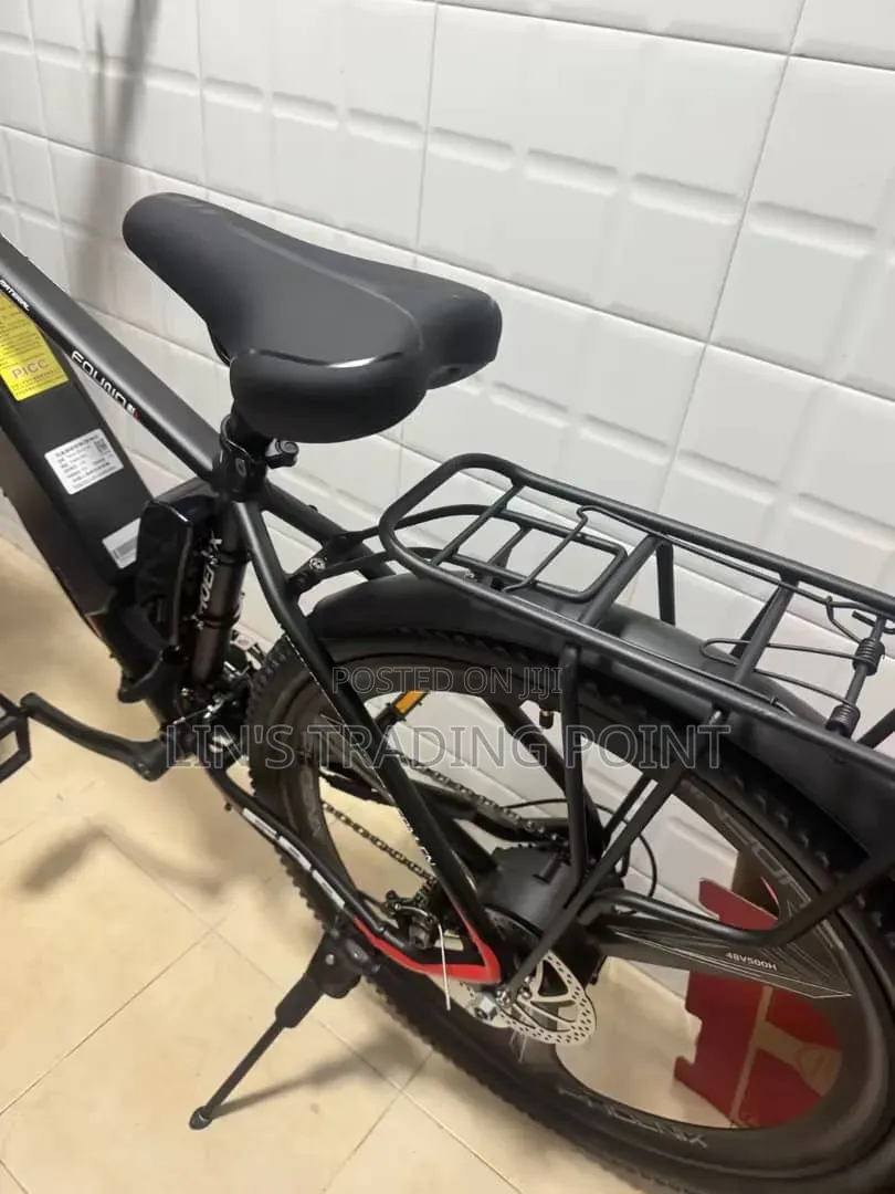 Adult Electric Mountain Bike
