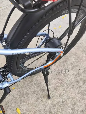 Adult Electric Mountain Bike
