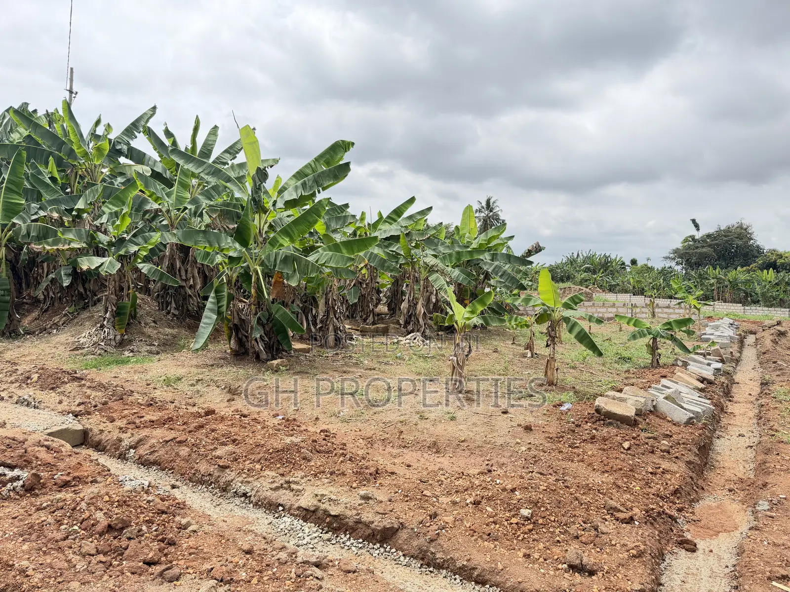 One Plot for Sale at Sokoban Konkoli