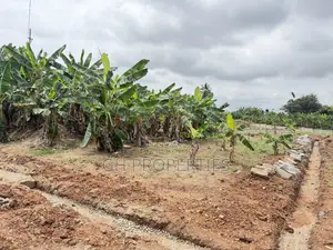 One Plot for Sale at Sokoban Konkoli