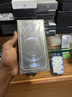 New Apple iPhone 12 Pro Max 256 GB Silver