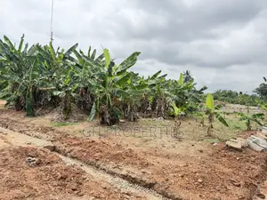 One Plot for Sale at Sokoban Konkoli
