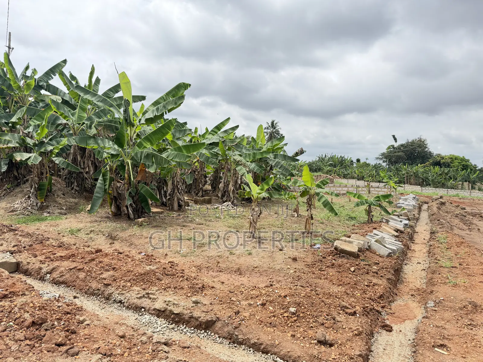 One Plot for Sale at Sokoban Konkoli