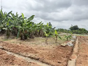 One Plot for Sale at Sokoban Konkoli