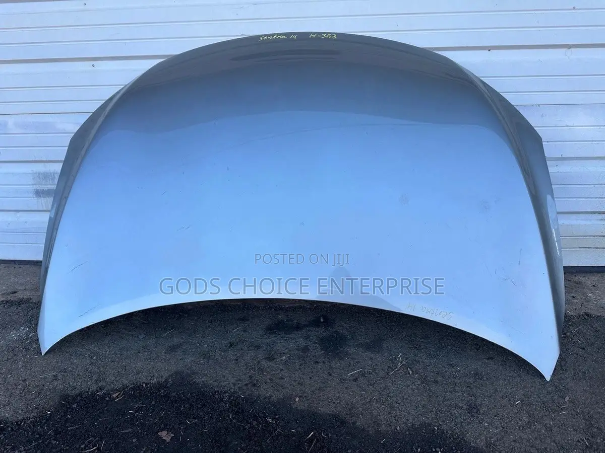 Bonnet Sentra 2016-2017-2018-