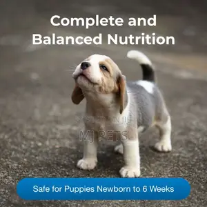 Petlac Puppy Milk Replacement
