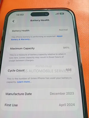Apple iPhone 15 Pro Max 256 GB Gray
