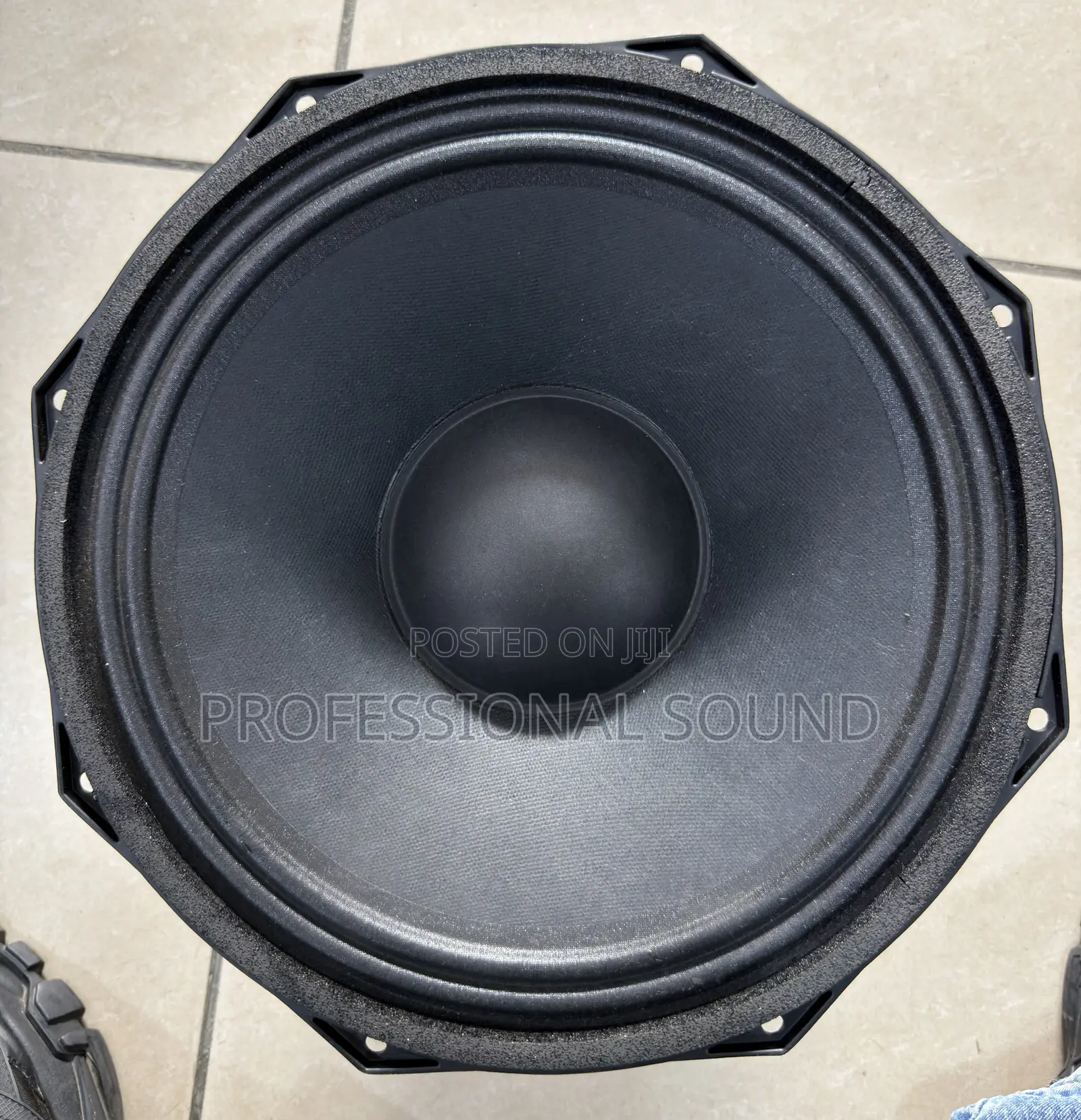 GLS Music G12100 12-Inch Double Magnet Naked Line Array