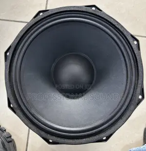 GLS Music G12100 12-Inch Double Magnet Naked Line Array