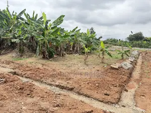 One Plot for Sale at Sokoban Konkoli
