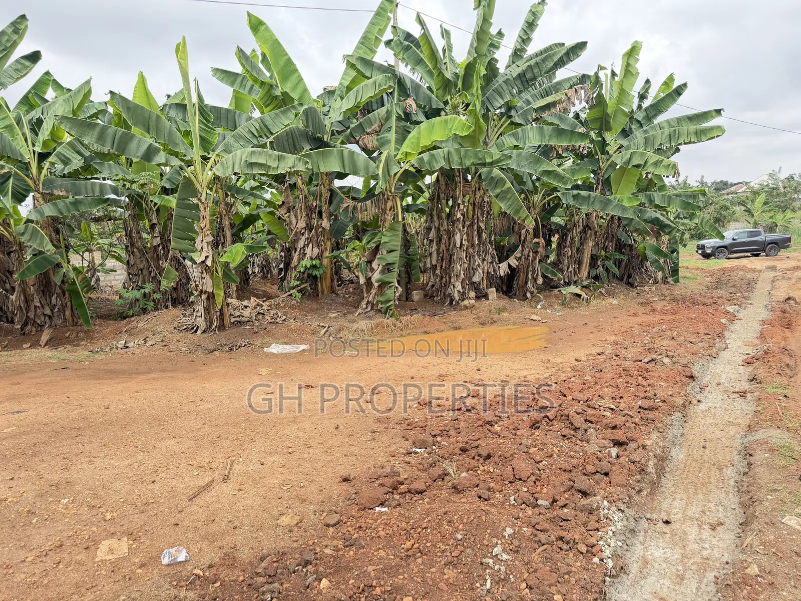 One Plot for Sale at Sokoban Konkoli