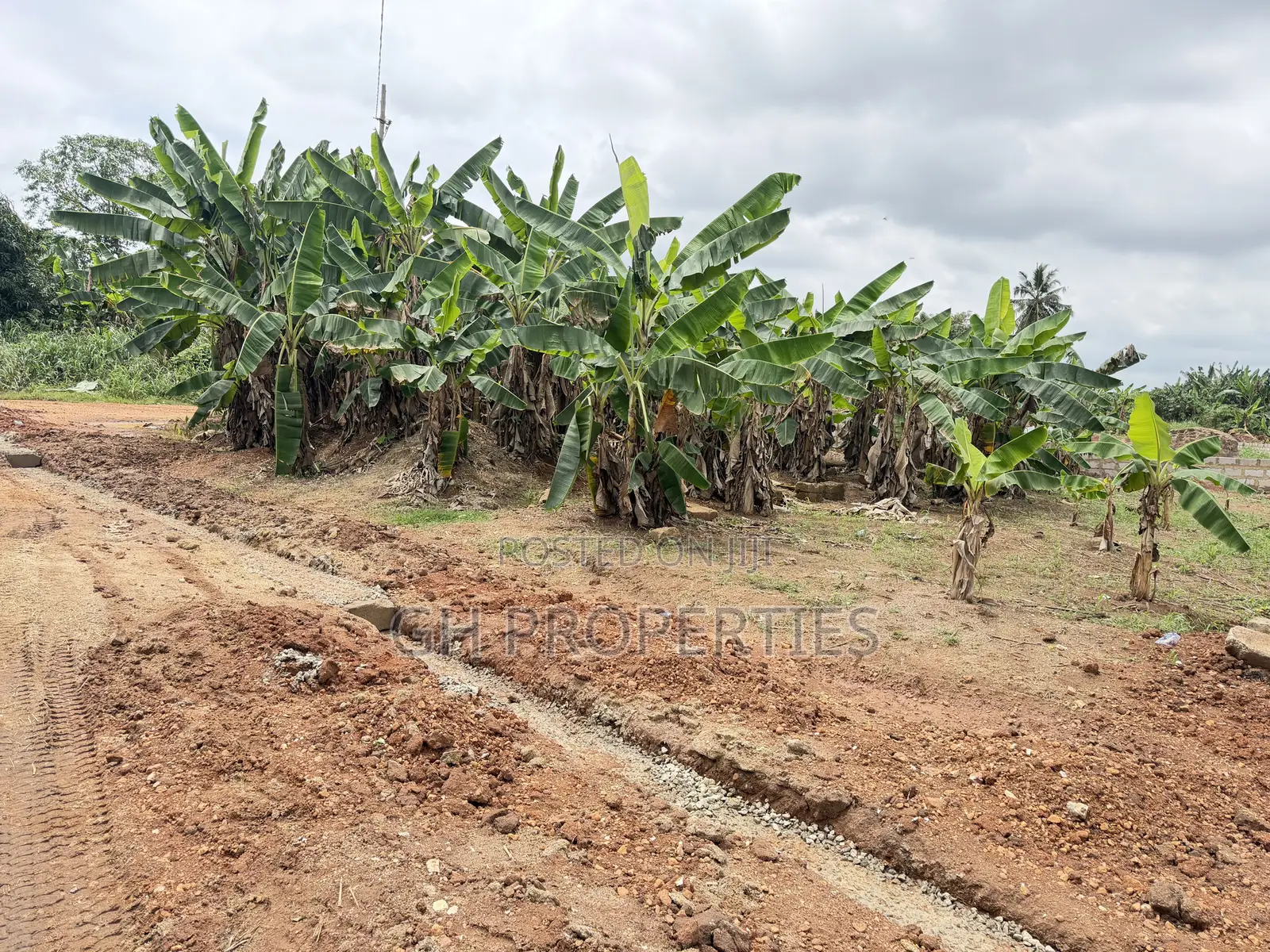 One Plot for Sale at Sokoban Konkoli