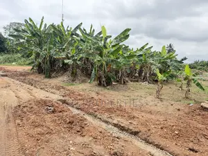 One Plot for Sale at Sokoban Konkoli
