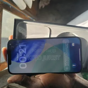 Apple iPhone 12 Pro Max 256 GB Blue