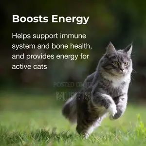 Vitamin and Mineral Gel Supplements for Cats