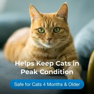 Vitamin and Mineral Gel Supplements for Cats