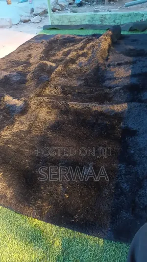 200x300 Heavy Fluffy Carpet