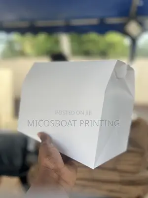 Plain Food Boxes