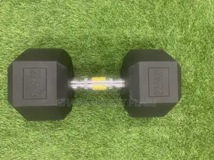 15kg Dumbbells for Sale