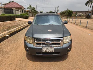 Ford Escape XLT 4WD V6 2009 Gray