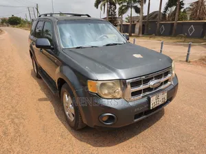 Ford Escape XLT 4WD V6 2009 Gray
