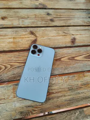 Apple iPhone 13 Pro Max 128 GB Gray