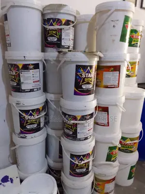 Star DTM Paint 20L)