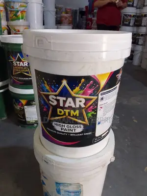 Star DTM Paint 20L)