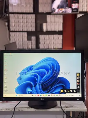 LG Flatron Monitor