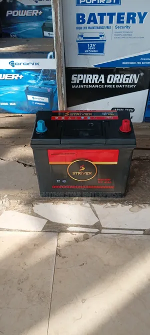 Striver Car Battery