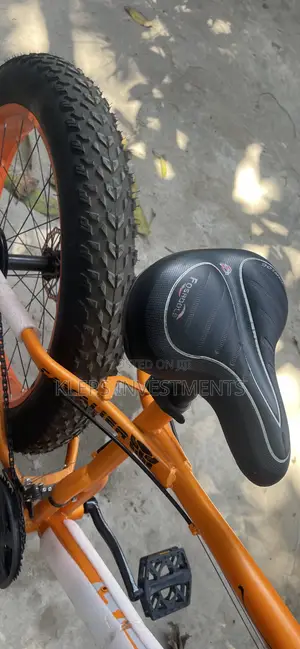 Big Tyre Bicycle