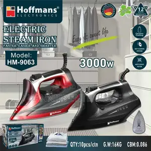 Electric Steam Iron