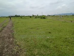 Prime Residential Plot for Sale at Shai Hills