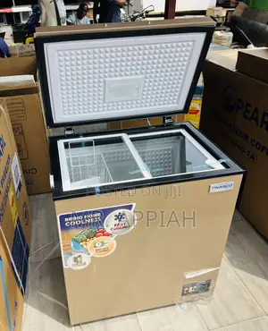 Exceptional Value Nasco 150L Chest Freezer(Nas200fl)Gold
