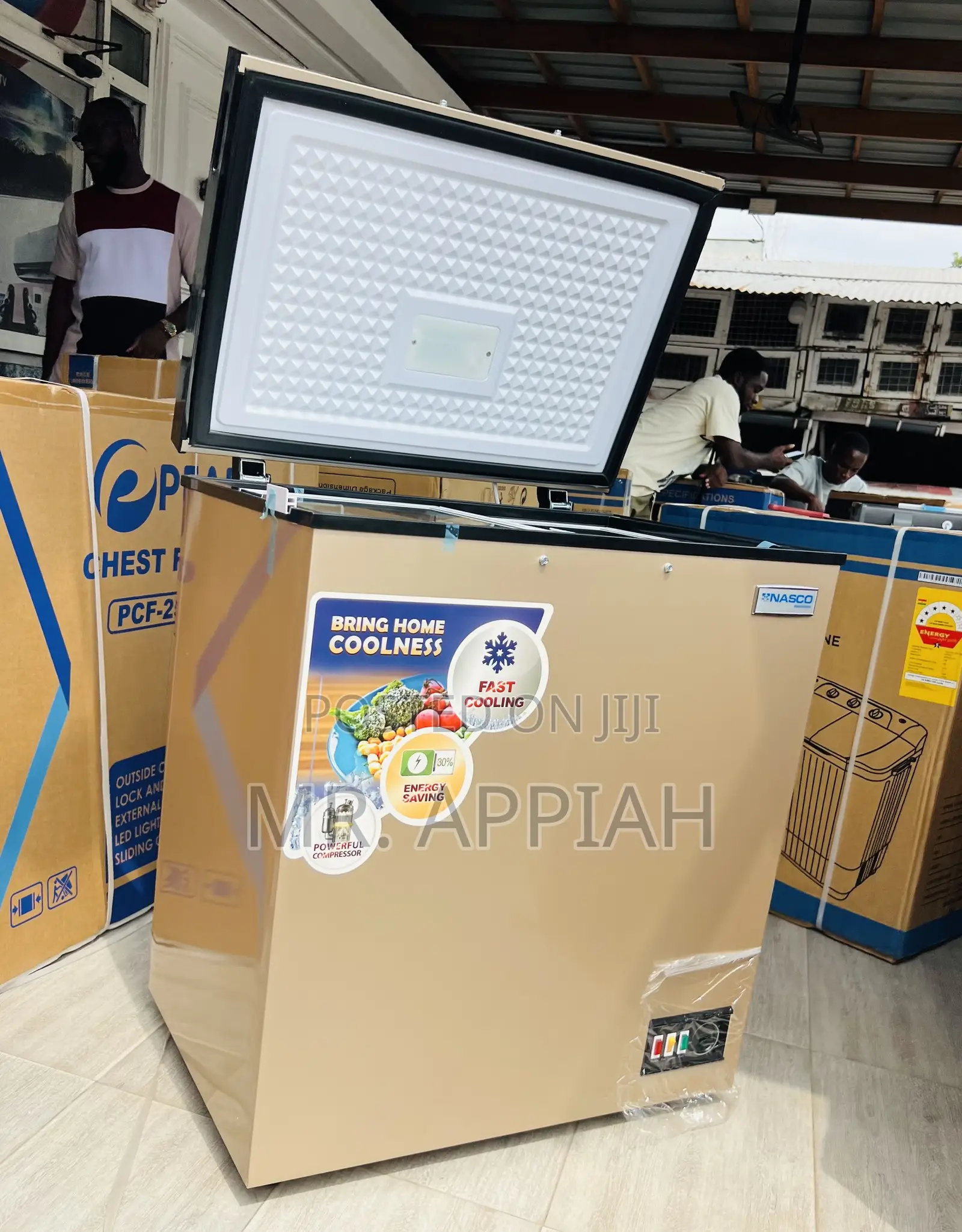 Premium Affordable Nasco Nas200fl 150L Chest (Gold)