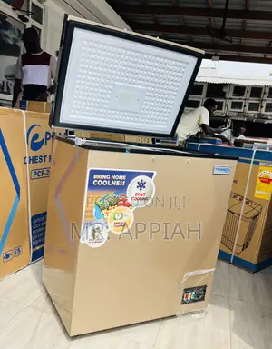 Premium Affordable Nasco Nas200fl 150L Chest (Gold)