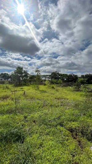 Full Plot of Land