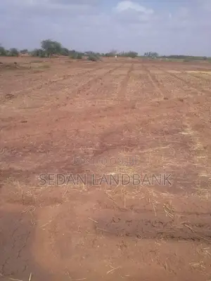 Affordable Land for Sale