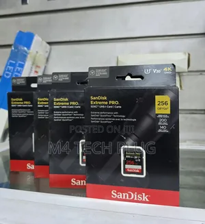 Sandisk Extreme Pro 256GB