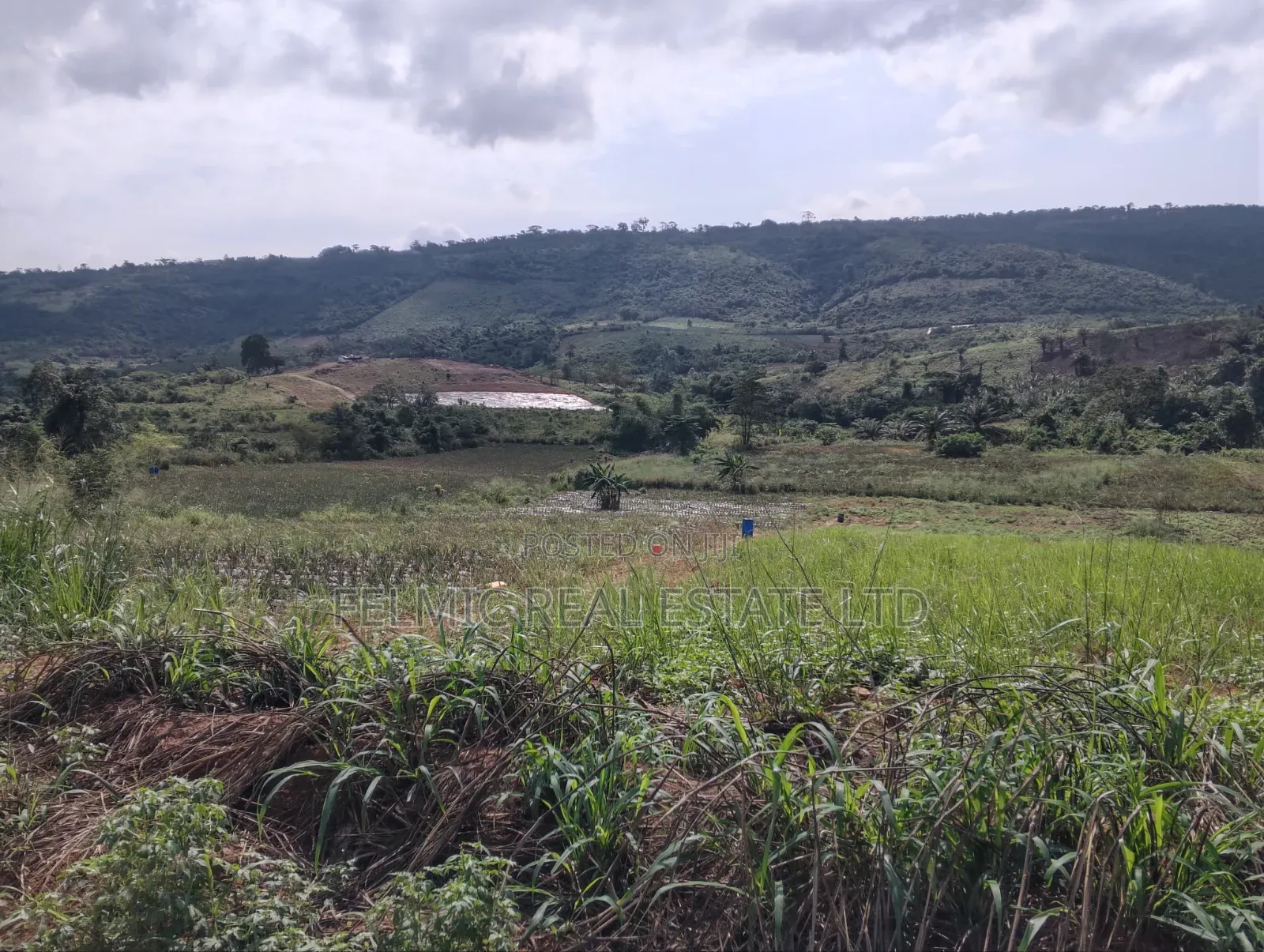 2 Acres of Land at Aburi Pokrom for Sale