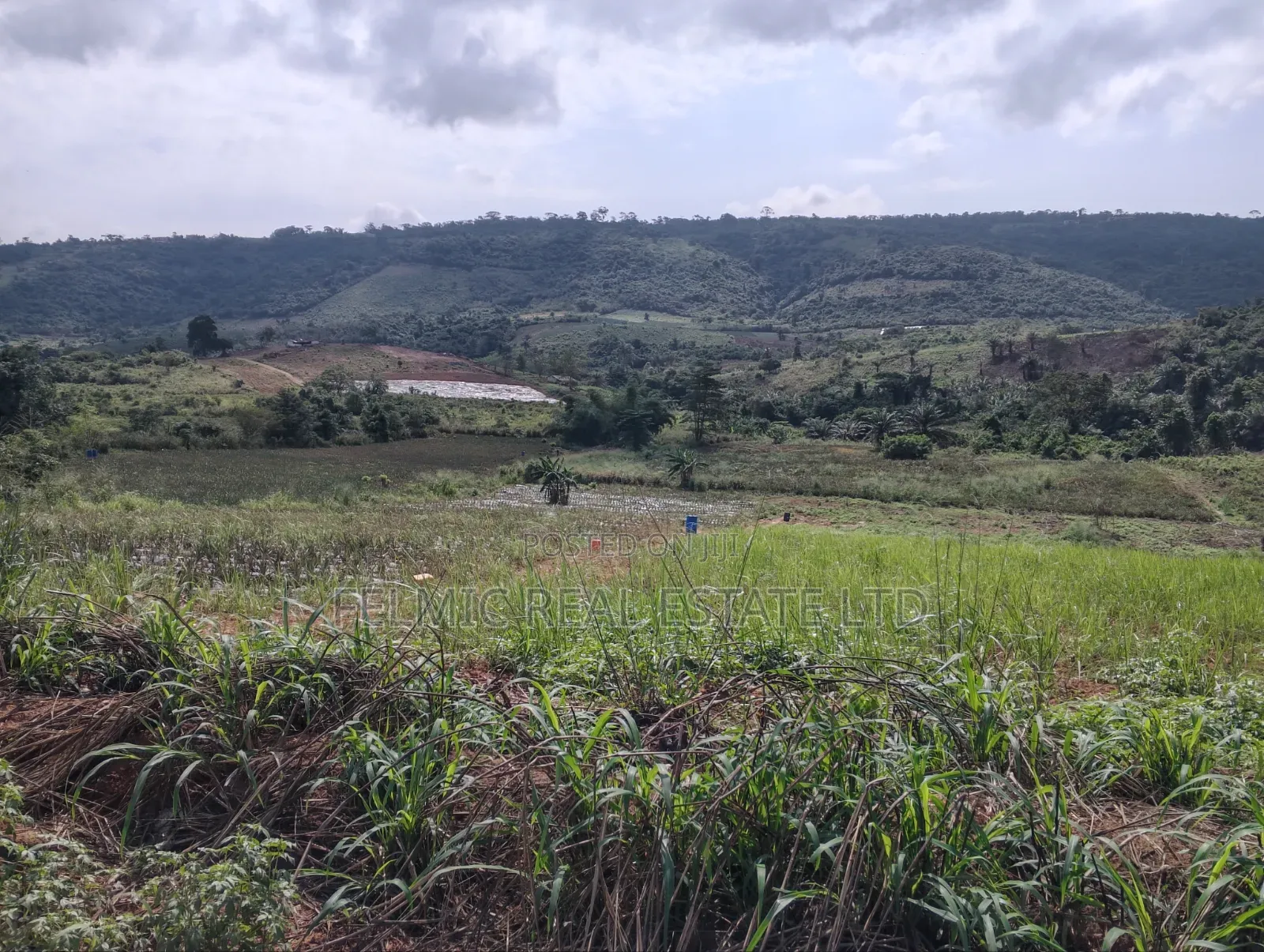 2 Acres of Land at Aburi Pokrom for Sale