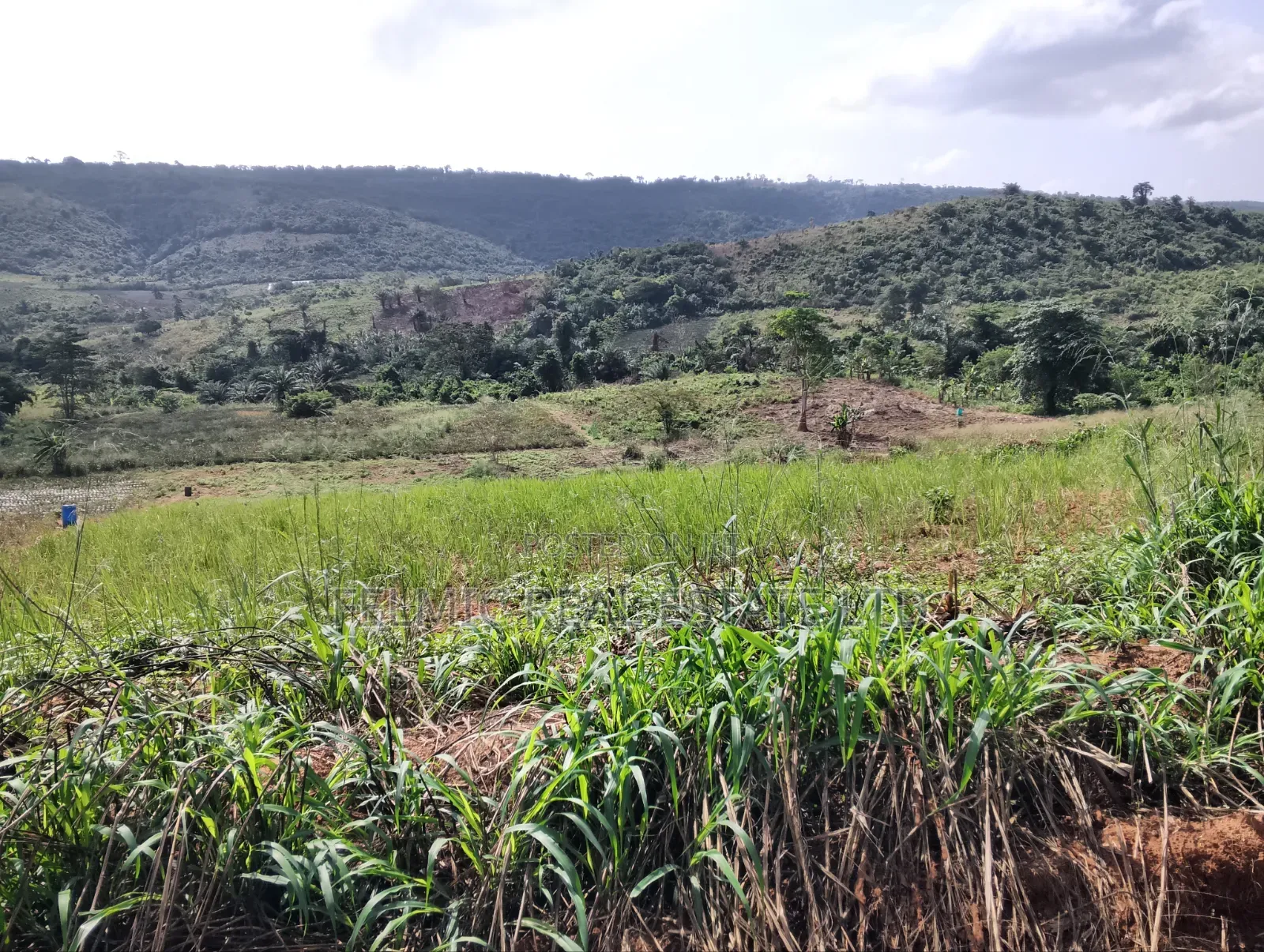 2 Acres of Land at Aburi Pokrom for Sale