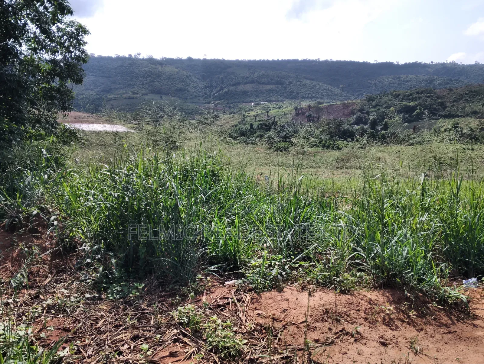 2 Acres of Land at Aburi Pokrom for Sale