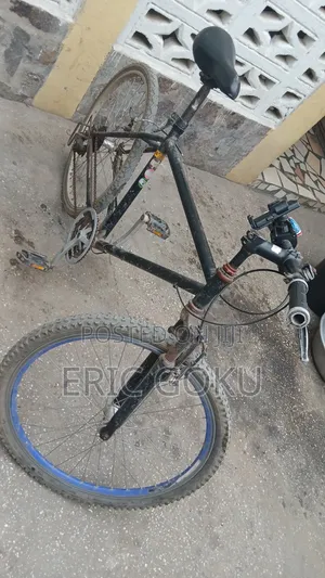 Used Bicycle