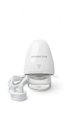 Garment Steamer