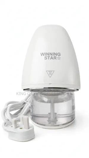 Garment Steamer