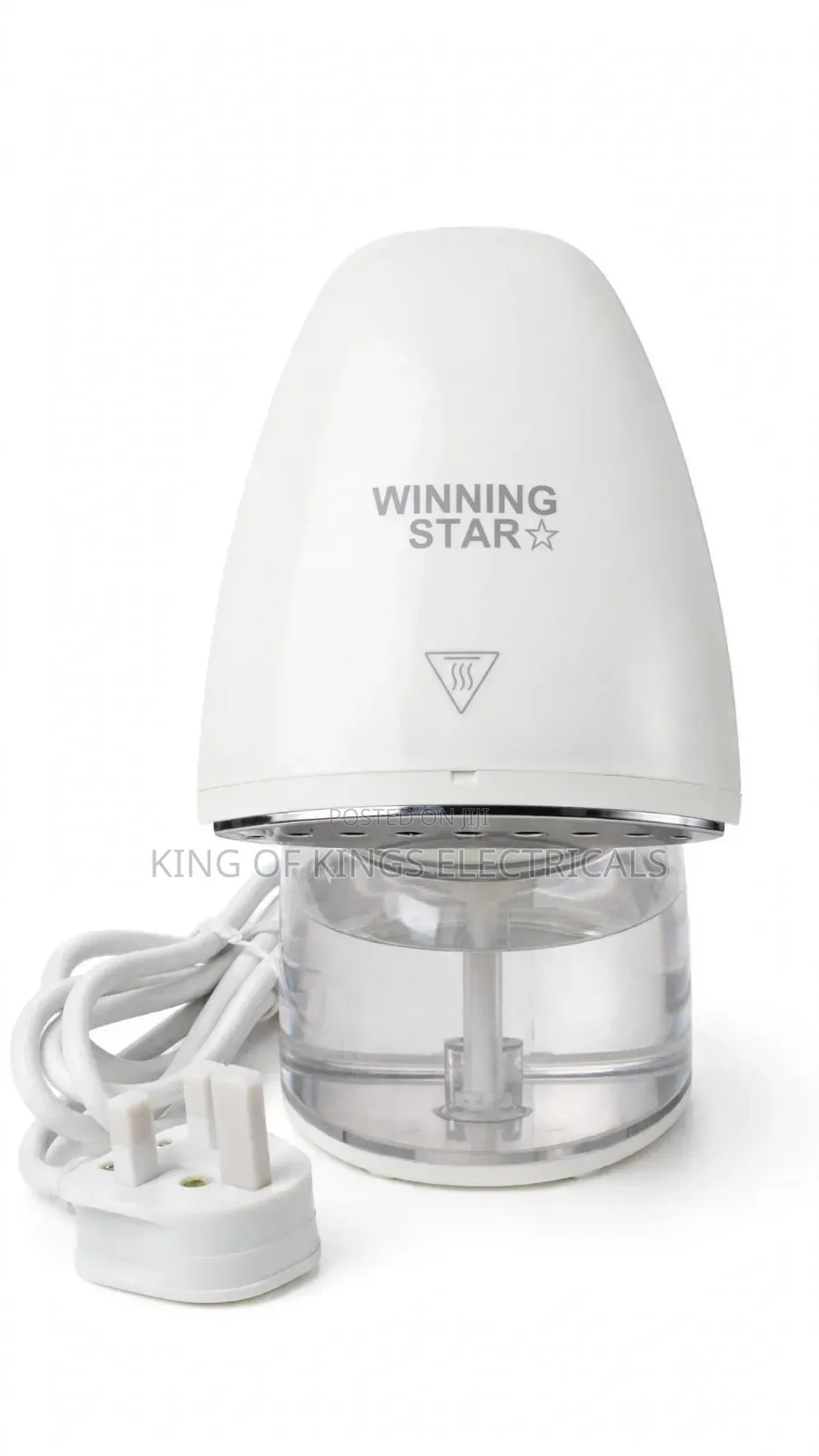 Garment Steamer